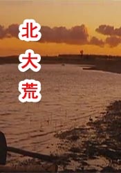 东凛中文字幕